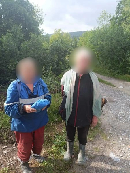 В Ашинском районе найдены заблудившиеся в лесу местные жительницы | Источник: 74.xn--b1aew.xn--p1ai
