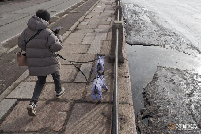 Из космоса видно, как с Петербурга съезжает одеяло тумана и облаков. Колесов рассказал, к чему готовиться | Источник: Михаил Огнев / «Фонтанка.ру»