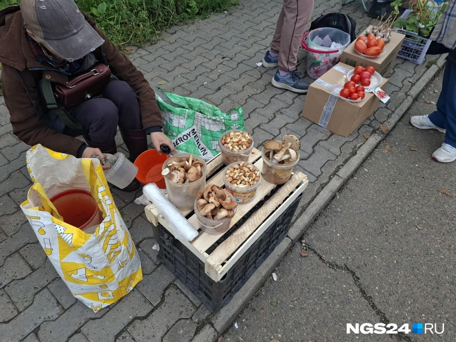 Судя по всему, чем меньше, тем дороже  | Источник: Татьяна Зарва / NGS24.RU 