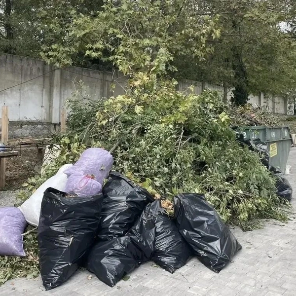 Источник: Мэр Новороссийска Андрей Кравченко / max.ru