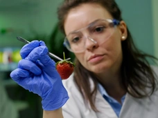 Школьный тест по биологии, который поставит в тупик даже отличников: ответьте на 10 вопросов