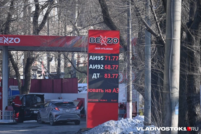 Источник: елена Буйвол / VLADIVOSTOK1.RU