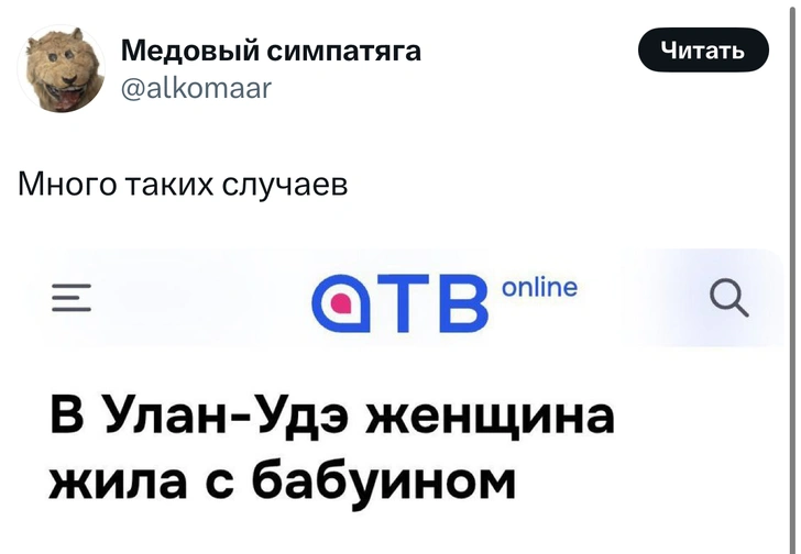 Источник: X (Twitter)
