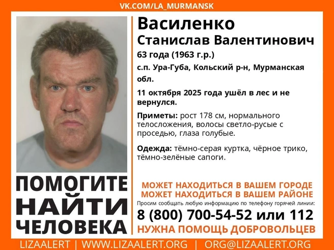 Источник: поисковый отряд «ЛизаАлерт» Мурманской области / Vk.com