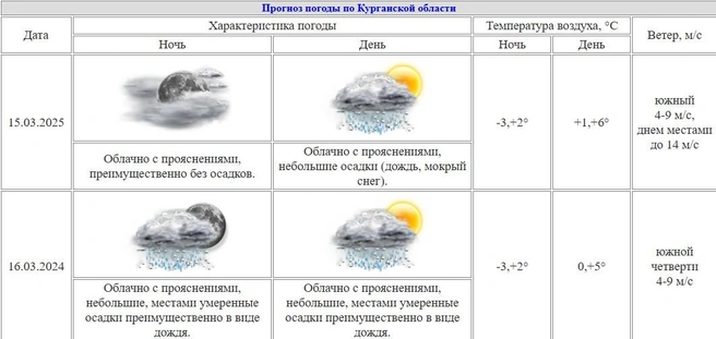 Источник: скрин с сайта Курганского ЦГМС