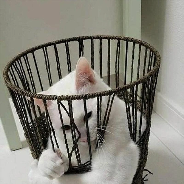 Источник: соцсети