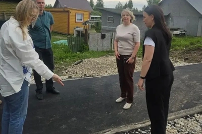 Визит Алексеевой в Чудовский округ: дороги и транспорт