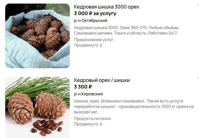 Можно выручить около трех тысяч за мешок | Источник: скриншот с сервиса объявлений