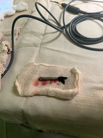 Часть кисточки | Источник: СОДКБ