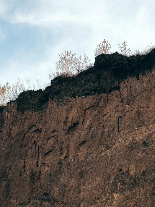 Из обрыва торчат человеческие кости | Источник: Красивые места России | Колоткин Игорь / Vk.com