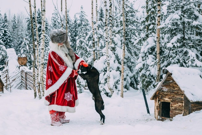 Источник: Фото предоставлено вотчиной карельского Деда Мороза&nbsp;— Талвиукко