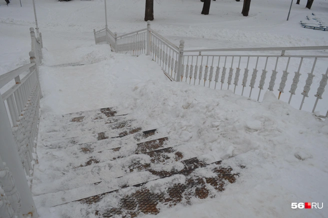 Источник: Анастасия Баринова / 56.RU