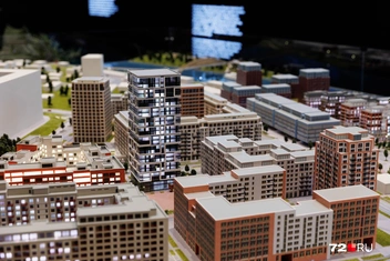 Источник: Ирина Шарова / 72.RU