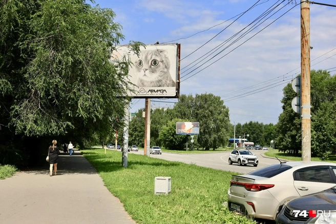 Так выглядит территория, которую планируют застроить: сейчас здесь зеленая зона и АЗС | Источник: Михаил Шилкин
