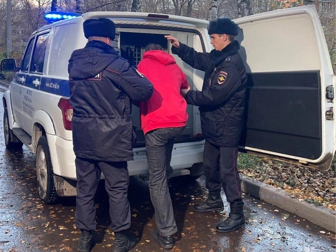 Теперь мужчине грозит срок | Источник: Телеграм-канал управления МВД России по Рязанской области