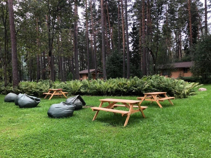 Семь причин побывать на Алтае этой осенью