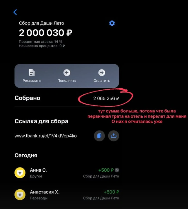 Скриншот о сборе денег | Источник: anna_komendantova / instagram.com (соцсеть запрещена на территории РФ)