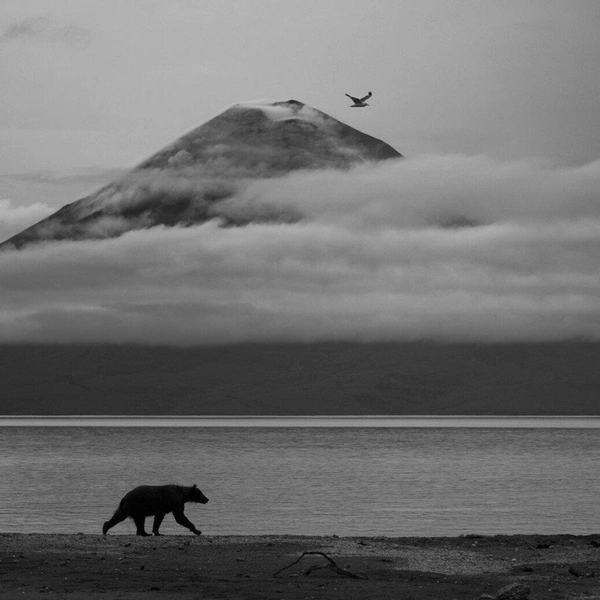 Источник: Kesshav Vikram / WPOTY 2025