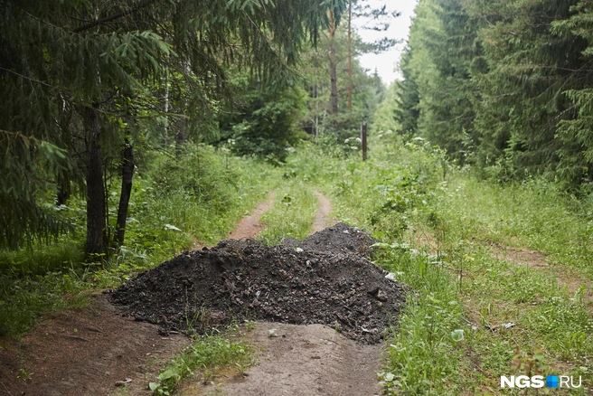 Всё, что осталось от жителя автограда, вывезли в лес | Источник: Александр Ощепков / NGS.RU