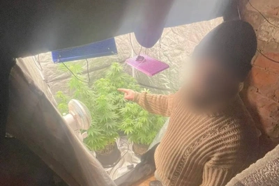 Житель Харабалинского района задержан за выращивание конопли