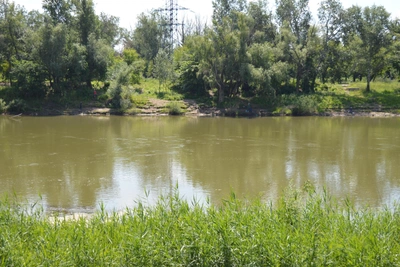 Контактный зоопарк и лодочный причал в Зауральной роще