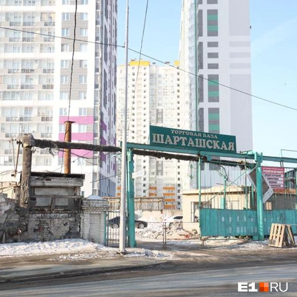 Источник: Владислав Лоншаков / E1.RU