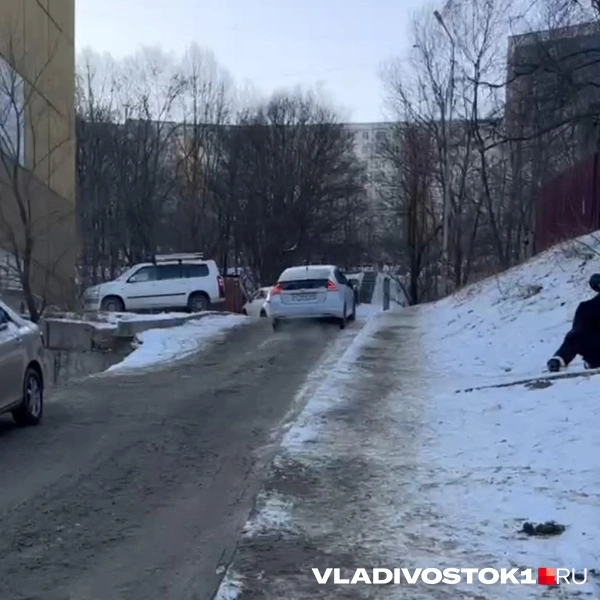 Источник: Елена Буйвол / VLADIVOSTOK1.RU
