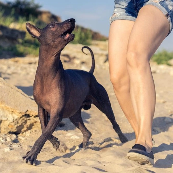 Источник: Masarik/Shutterstock/Fotodom.ru