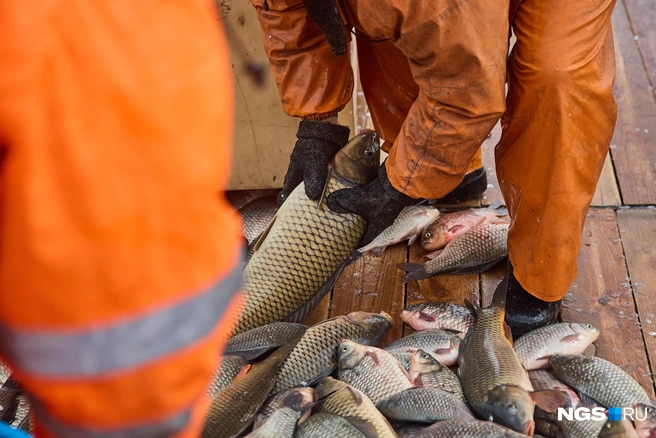 Самый главный покупательу Мурманской области — ЕС | Источник: Александр Ощепков / NGS.RU