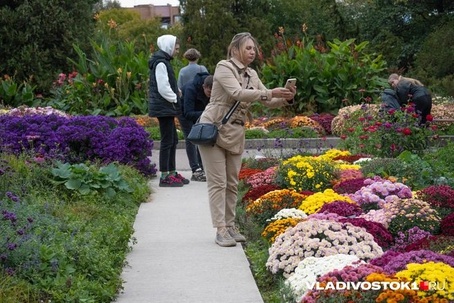 Источник: Елена Буйвол / VLADIVOSTOK1.RU