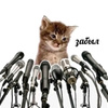 userpic__Нурофенчик