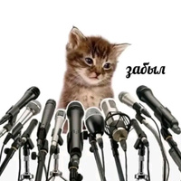 Аватарка Нурофенчик