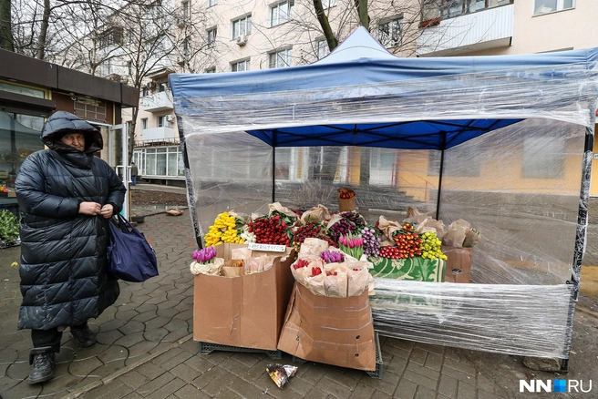 Разноцветные тюльпаны украсят любой день | Источник: Наталья Бурухина / NN.RU
