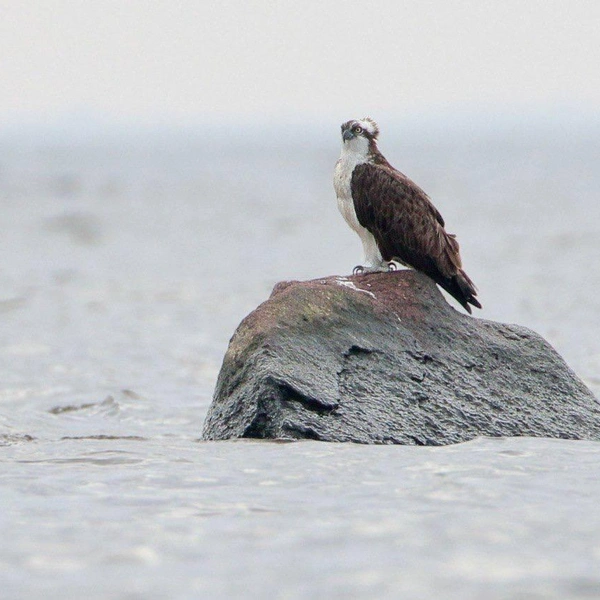 Источник: вице-губернатор Петербурга Алексей Корабельников