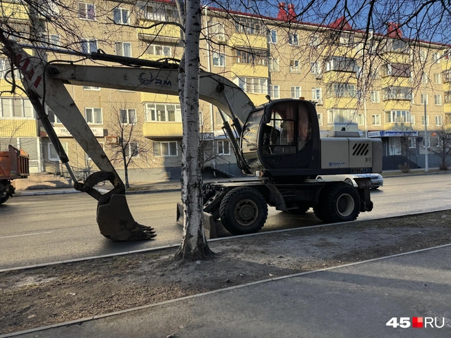 Источник: Юлия Король / 45.RU