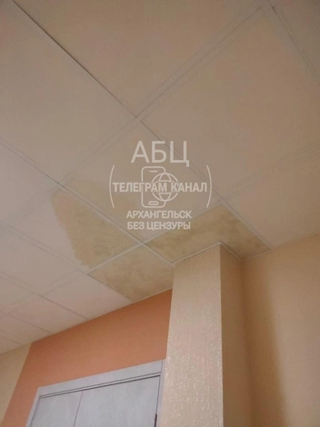 Источник: «Архангельск Без Цензуры» / T.me