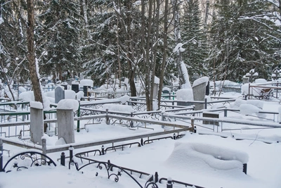 Mass flu outbreak at Prokopyevsk care home claims two lives