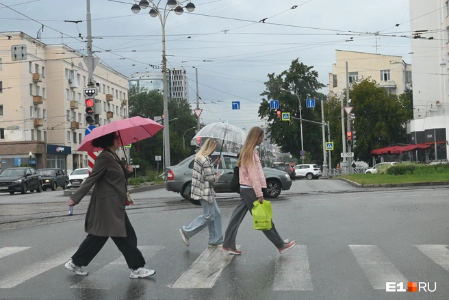 Источник: Дмитрий Емельянов / E1.RU