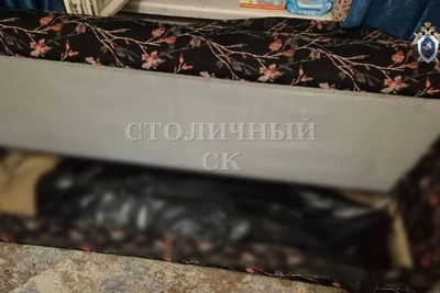 Тело убитой женщины нашли в диване на Люблинской