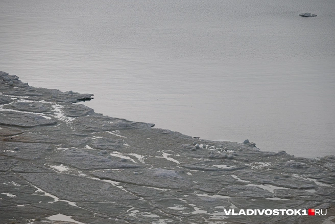 По словам специалистов, все вполне обычно | Источник: Елена Буйвол / VLADIVOSTOK1.RU