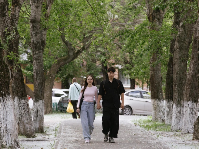 Кто-то рассыпал по парку тысячи кусочков ваты | Источник: Ирина Шарова / 72.RU