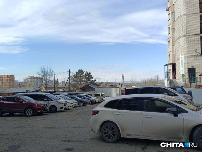 Источник: Любовь Никитина