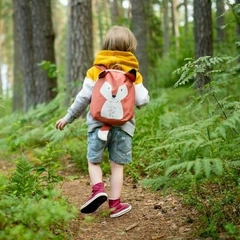 Не только энцефалит: в Росии участились случаи заражения клещевым риккетсиозом
