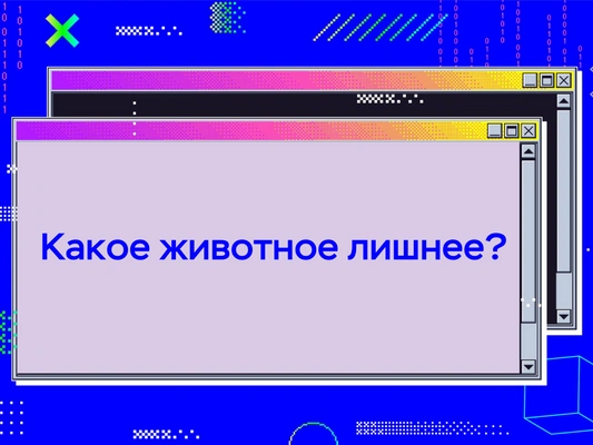 [quiz] Спорим, ты не сможешь решить все головоломки правильно