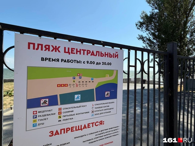 Источник: Евгений Вдовин / 161.RU