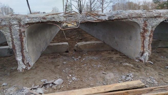 Источник: Максим Афанасьев / t.me