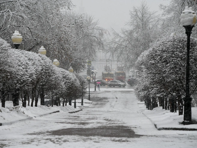 Осадки в Екатеринбурге прогнозируют на вторую половину недели | Источник: Артем Устюжанин / E1.RU