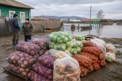 В Забайкалье начали выдачу овощных наборов