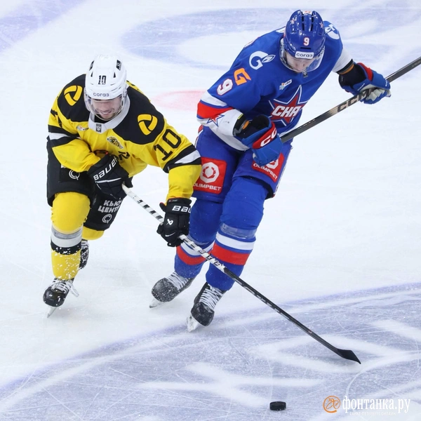 Источник: Сергей Михайличенко / FONTANKA.RU