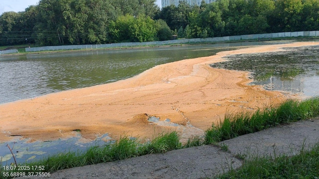 Источник: читательница MSK1.RU